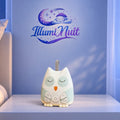 Veilleuse Bruit Blanc <br> Owli Sleep